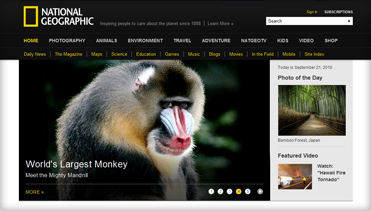 手机号狂轰滥炸软件